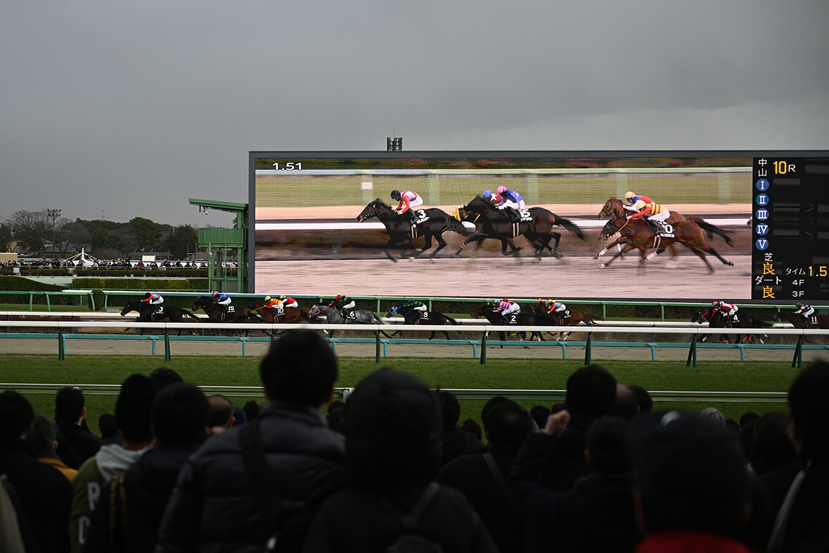 二度目の中山競馬場。馬の息遣いと、のんびりした時間。